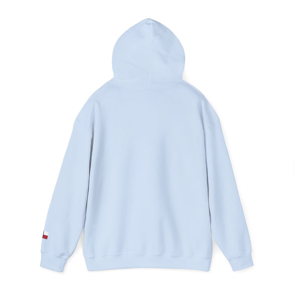 “The Valley” Hoodie
